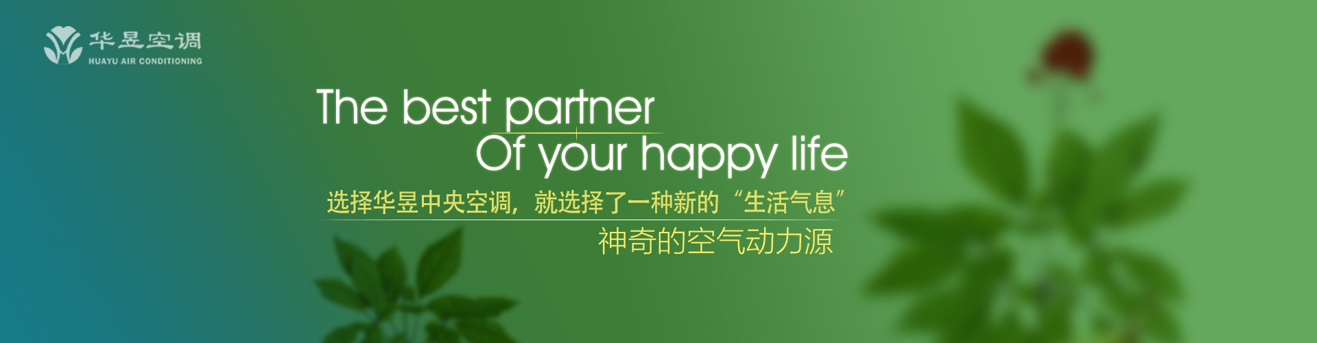 劳心焦思网